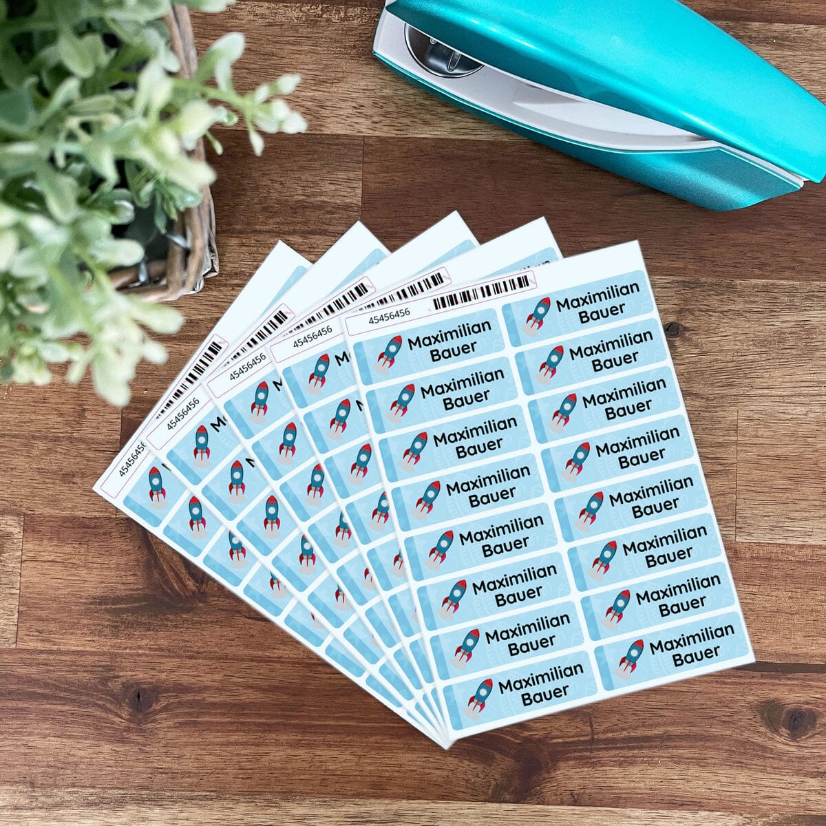 Mehrzeilige Namensaufkleber (110 Stück 50x15 mm) - kinder-druckerei.de