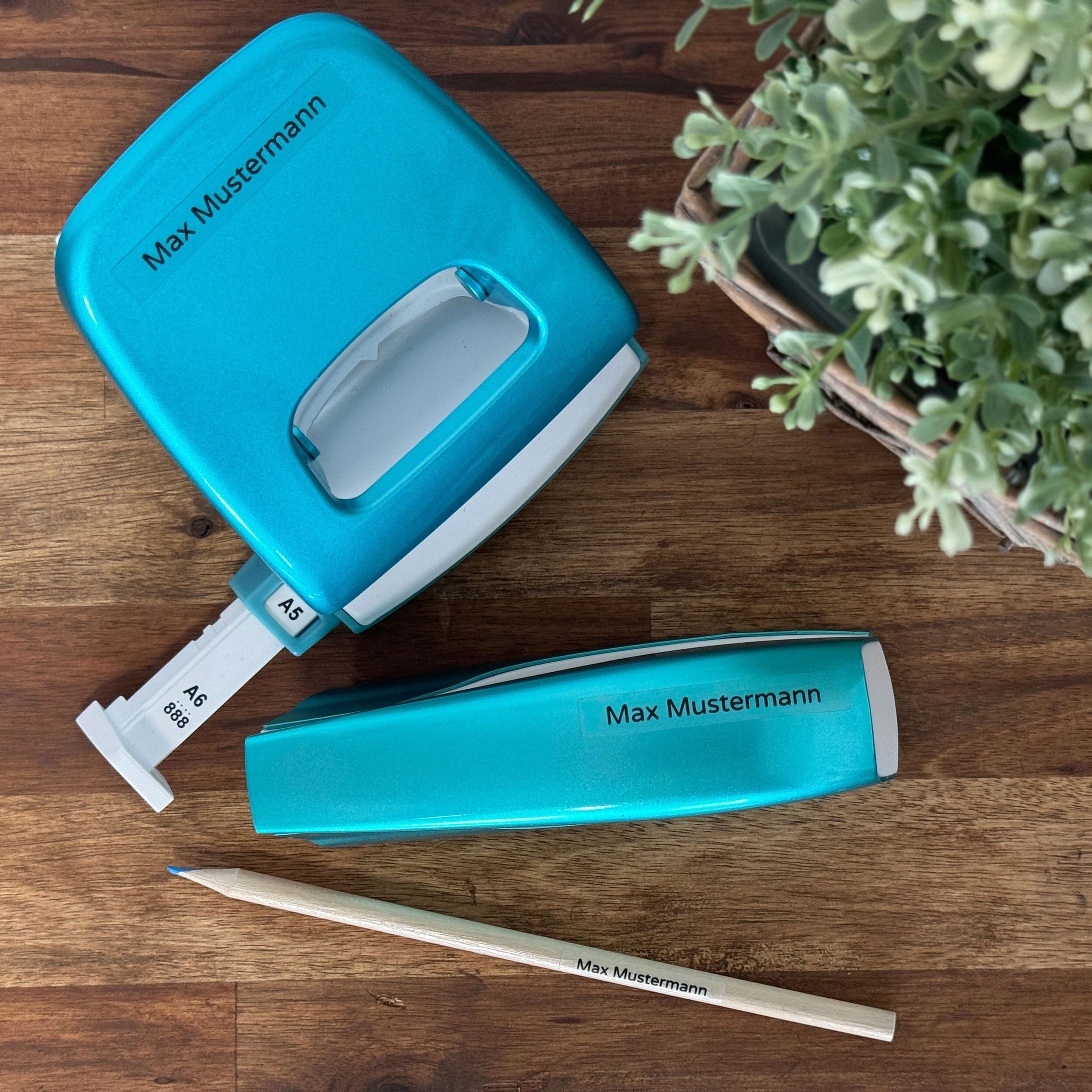 Transparente Namensaufkleber für Kinder (Set mit 260 Aufklebern in verschiedenen Größen) - kinder-druckerei.de